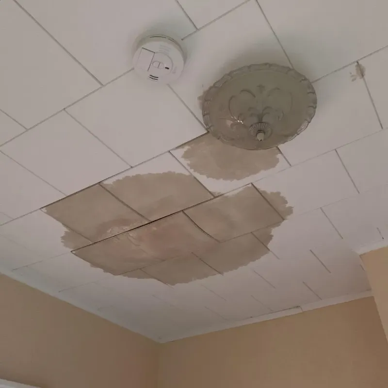 Ceiling Water Damage Repair in Vander, NC